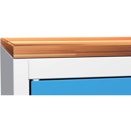 Werkstatt-Werkzeugschrank mit Buchenplatte – 1 Tür, 2 Einlegeböden, 1 Schublade